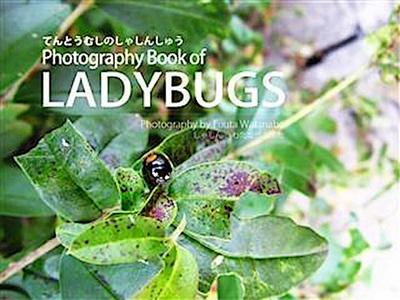 Photography Book of Ladybugs(2012) Shinkai Fuuta, Japan