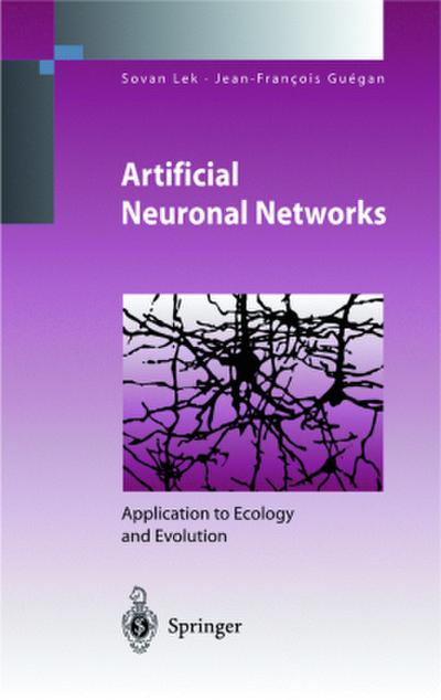 Artificial Neuronal Networks