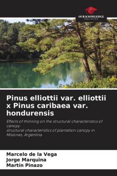 Pinus elliottii var. elliottii x Pinus caribaea var. hondurensis