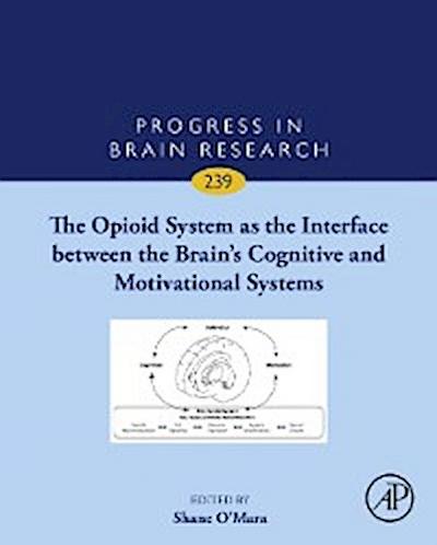 Opioid System as the Interface between the Brain’s Cognitive and Motivational Systems