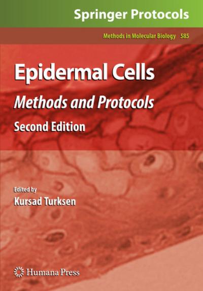 Epidermal Cells