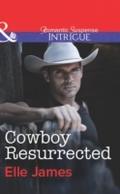 Cowboy Resurrected (Mills & Boon Intrigue) (Co