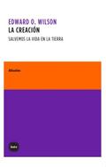 La creación