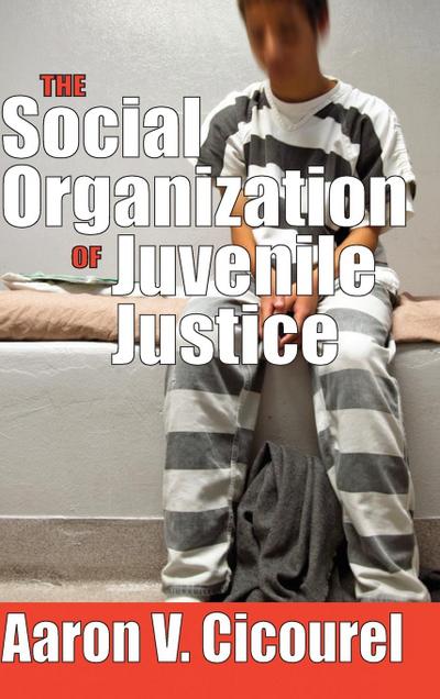 The Social Organization of Juvenile Justice