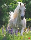 Pferde Classics Posterkalender 2026