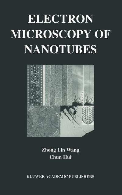 Electron Microscopy of Nanotubes
