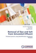 Removal of Dye and Salt from Simulated Effluent