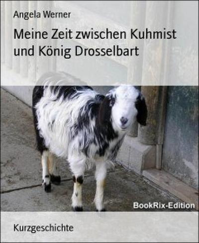 Meine Zeit zwischen Kuhmist und König Drosselbart