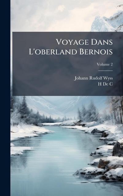 Voyage Dans L’oberland Bernois