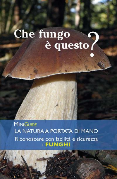 Funghi