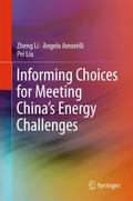 Informing Choices for Meeting China’s Energy Challenges