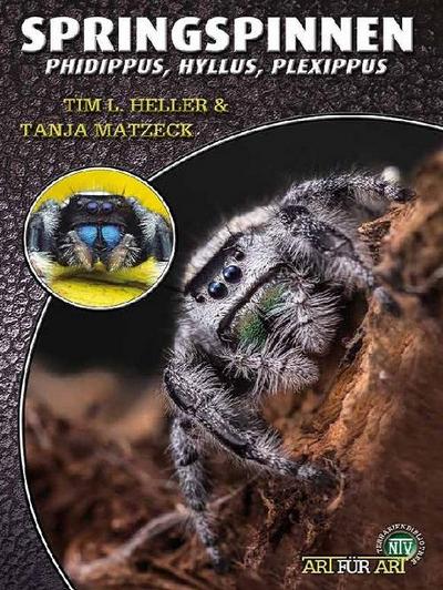 Springspinnen