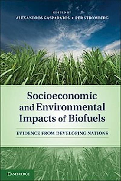 Socioeconomic and Environmental Impacts of Biofuels