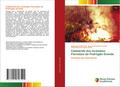 Catástrofe dos Incêndios Florestais de Pedrógão Grande
