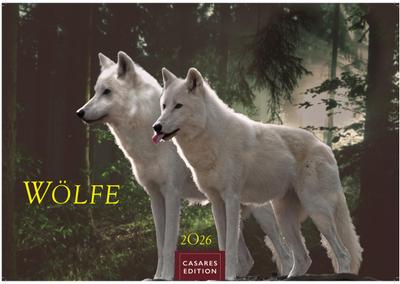 Wölfe Kalender 2026 - Wandkalender | Fotokalender Tierkalender 24x35cm - . mit faszinierenden Wolf-Motiven