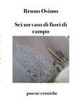 Sei un vaso di fiori di campo