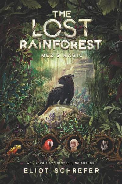 The Lost Rainforest: Mez’s Magic