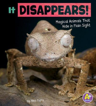 It Disappears!: Magical Animals That Hide in Plain Sight