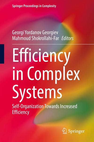 Efficiency in Complex Systems