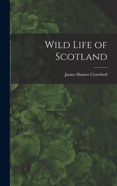 Wild Life of Scotland
