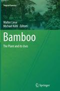 Bamboo