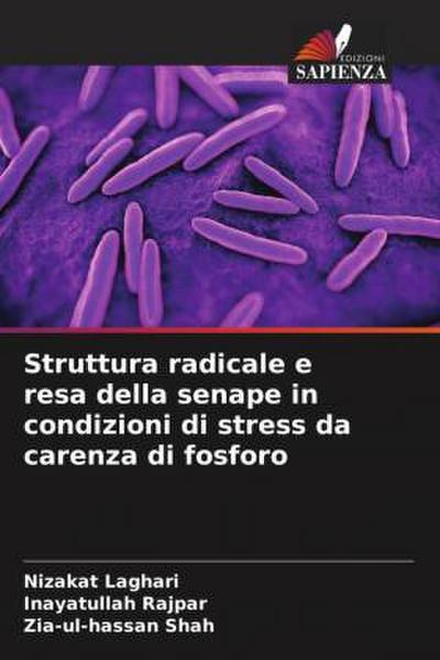 Struttura radicale e resa della senape in condizioni di stress da carenza di fosforo
