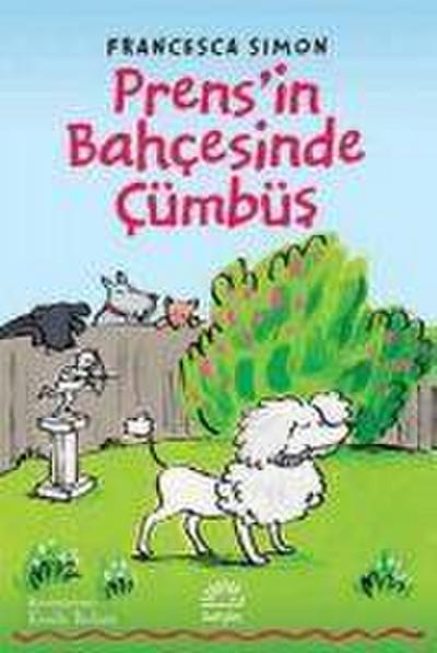 Prensin Bahcesinde Cümbüs
