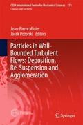 Particles in Wall-Bounded Turbulent Flows: Deposit