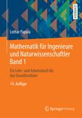 Mathematik für Ingenieure und Naturwissenschaftler