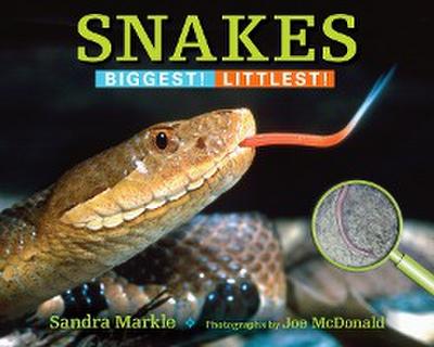 Snakes: Biggest! Littlest!