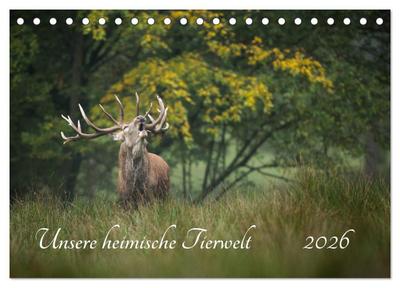 Unsere heimische Tierwelt (Tischkalender 2026 DIN A5 quer), CALVENDO Monatskalender