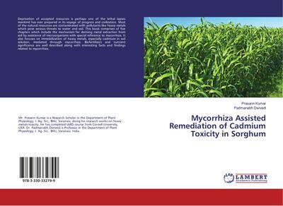Mycorrhiza Assisted Remediation of Cadmium Toxicity in Sorghum