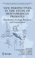 New Perspectives in the Study of Mesoamerican Prim