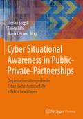 Cyber Situational Awareness in Public-Private-Part