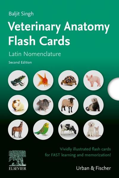 Lernkarten Veterinäranatomie / Veterinary Anatomy Flash Cards