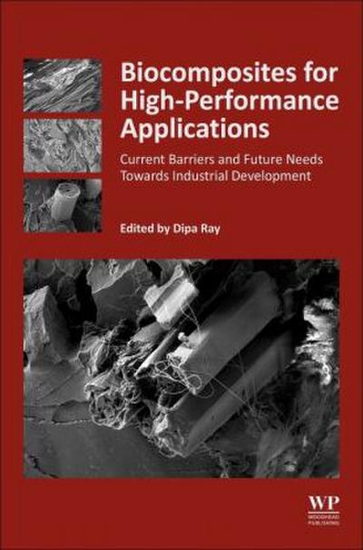 Biocomposites for High-Performance Applications
