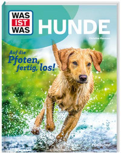 Hunde. Auf die Pfoten, fertig, los!