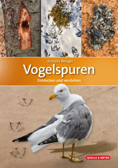 Vogelspuren