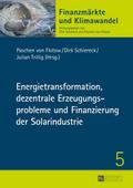 Energietransformation, dezentrale Erzeugungsproble