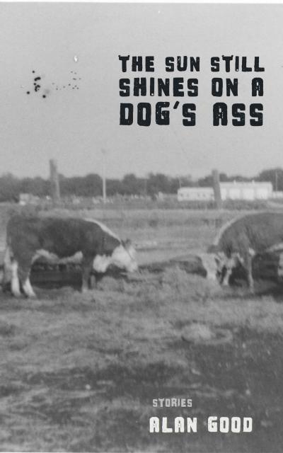 The Sun Still Shines on a Dog’s Ass