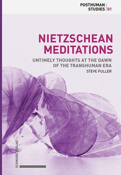 Nietzschean Meditations (softcover)