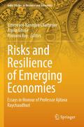 Risks and Resilience of Emerging Economies