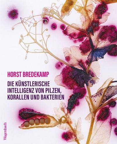 Die künstlerische Intelligenz von Pilzen, Korallen und Bakterien