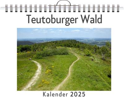 Braun, O: Teutoburger Wald