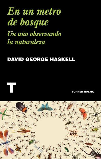 En un metro de bosque : un año observando la naturaleza