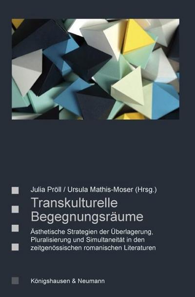 Transkulturelle Begegnungsräume: Ästhetische Strategien der Überlagerung, Pluralisierung, Simultaneität in den zeitgenössischen romanischen ... Literatur- und Kulturwissenschaft)