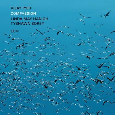 Vijay Iyer: Compassion