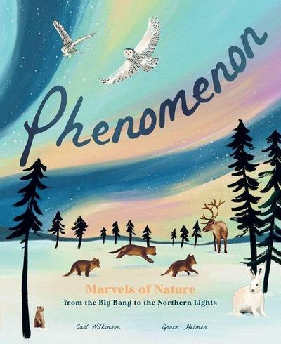 Phenomenon