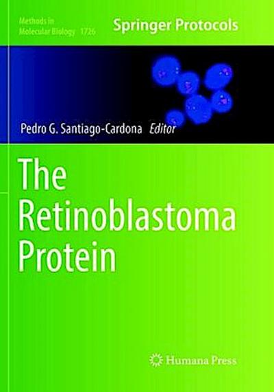 The Retinoblastoma Protein