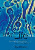 First Life